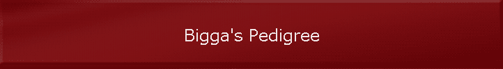 Bigga's Pedigree