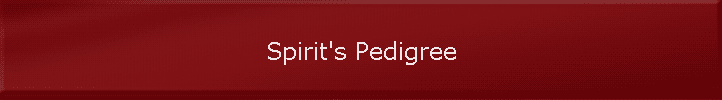 Spirit's Pedigree